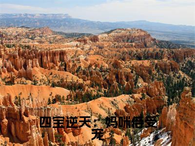 全章节完整《四宝逆天:妈咪倍受宠》全文阅读《南婉战萧恒》