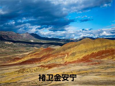 褚卫金安宁免费小说-(褚卫金安宁)金安宁褚卫完结版在线阅读
