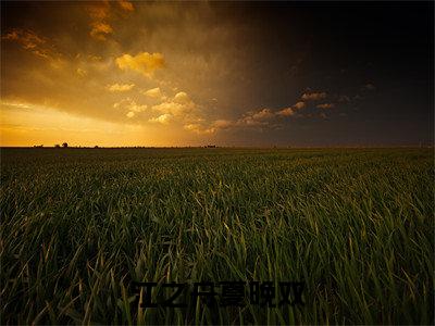 江之舟夏晚双(江之舟夏晚双)免费全文阅读小说_江之舟夏晚双最新章节列表-笔趣阁(江之舟夏晚双)