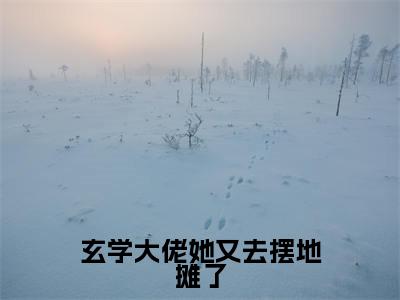 玄学大佬她又去摆地摊了无广告小说免费阅读,玄学大佬她又去摆地摊了卫绵完结小说在线阅读