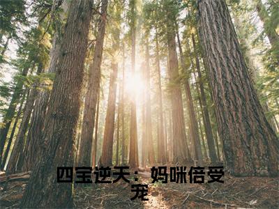四宝逆天：妈咪倍受宠（萧恒南婉战）全文免费阅读无弹窗大结局_四宝逆天：妈咪倍受宠小说免费最新章节列表_笔趣阁