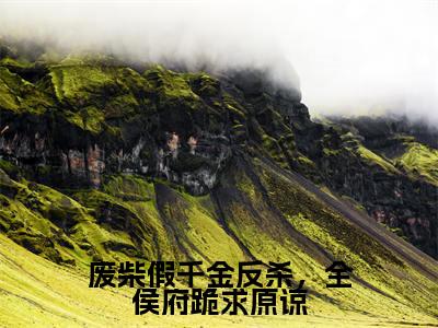 废柴假千金反杀，全侯府跪求原谅小说最新章节阅读废柴假千金反杀，全侯府跪求原谅祝卿安全文免费阅读最新章节大结局