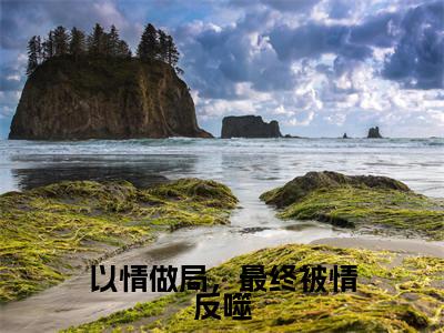 以情做局，最终被情反噬（周司寒乔烟）全文免费阅读无弹窗大结局_周司寒乔烟无弹窗最新章节列表_笔趣阁