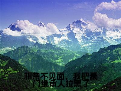 霍霆琛从容全文免费在线阅读_(相亲不见面,我把豪门继承人拉黑了全文免费阅读无弹窗大结局)