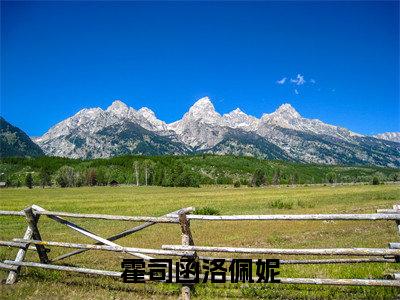 霍司函洛佩妮(洛佩妮霍司函)全文免费阅读无弹窗大结局_霍司函洛佩妮全文免费阅读最新章节列表