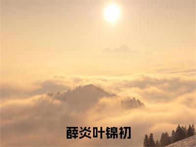 薛炎叶锦初（叶锦初薛炎小说）全文免费阅读无弹窗大结局_（叶锦初薛炎）小说最新章节列表