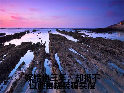 (嫁给他三年,却抵不过他青梅装疯卖傻)在线阅读-主角是(许容辞程璃)的小说嫁给他三年,却抵不过他青梅装疯卖傻全文赏析最新章节列表_笔趣阁