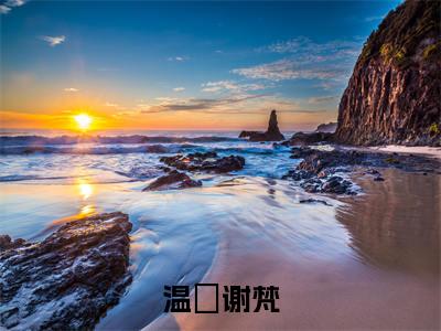 谢梵温婳免费阅读(温婳谢梵)全文免费阅读无弹窗大结局_谢梵温婳免费阅读最新章节列表