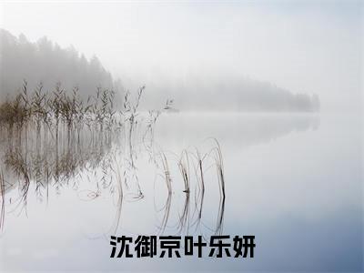 叶乐妍沈御京(沈御京叶乐妍)全文免费阅读无弹窗大结局_叶乐妍沈御京最新章节列表_笔趣阁(沈御京叶乐妍)