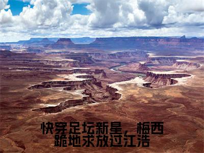 （江浩齐达内）全文免费阅读快穿足坛新星，梅西跪地求放过江浩言情小说讲的是什么