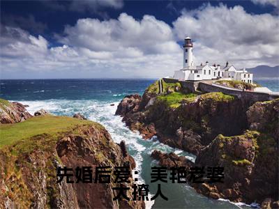 苏子文沈念一小说在线阅读先婚后爱:美艳老婆太撩人无广告小说免费在线阅读