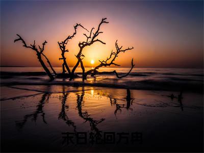 末日轮回方冉（方冉）全文阅读_小说末日轮回方冉免费阅读（方冉）笔趣阁