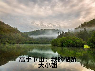 高手下山:我的傲娇大小姐免费阅读无弹窗大结局-林凡(高手下山:我的傲娇大小姐最新全章节大结局)全文阅读