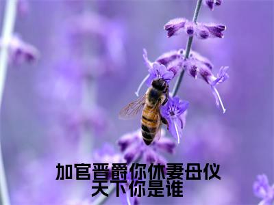 加官晋爵你休妻母仪天下你是谁(唐婠)全文免费阅读无弹窗大结局_唐婠小说最新章节列表