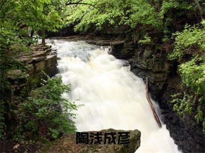 陶浅成彦小说限时免费,陶浅成彦完结版小说阅读无弹窗_笔趣阁