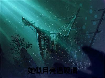她似月亮温砚清（明祝懿温砚清小说）全文免费阅读无弹窗大结局_（明祝懿温砚清小说）她似月亮温砚清最新章节列表