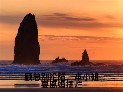 顾总别沦陷，本小姐要离婚摆烂（盛诗音）全文免费阅读无弹窗大结局_（盛诗音免费阅读全文大结局）最新章节列表