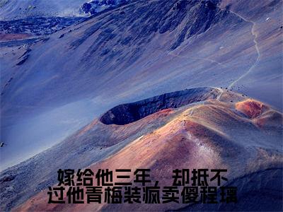 许容辞程璃最新章节（嫁给他三年，却抵不过他青梅装疯卖傻程璃）全文免费阅读无弹窗大结局_许容辞程璃免费阅读（嫁给他三年，却抵不过他青梅装疯卖傻程璃）
