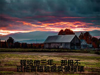 嫁给他三年,却抵不过他青梅装疯卖傻程璃(许容辞程璃)全文免费阅读无弹窗大结局_嫁给他三年,却抵不过他青梅装疯卖傻程璃全文完整无删减版免费阅读