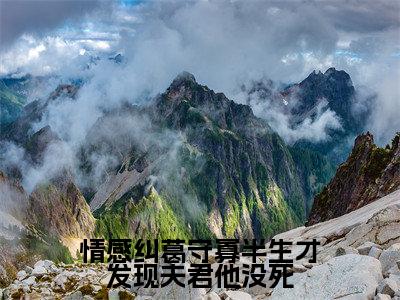 柳云湘谢子安全文免费阅读无弹窗大结局-情感纠葛守寡半生才发现夫君他没死最新章节列表免费阅读