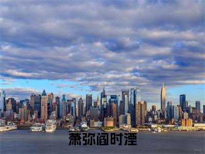 阎时湮萧弥小说在线阅读萧弥阎时湮无广告小说免费在线阅读