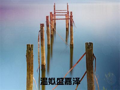 温姒盛嘉泽(温姒盛嘉泽)最新章节在线阅读-老书虫推荐温姒盛嘉泽小说