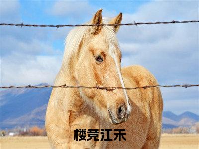 楼竞江未小说全文（江未楼竞）完整版阅读-楼竞江未小说全文无删减版