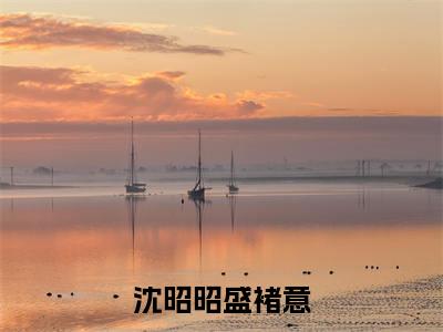 沈昭昭盛褚意小说沈昭昭盛褚意完整版全文在线赏析-小说沈昭昭盛褚意全文大结局已完结