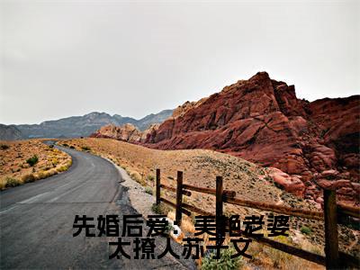 先婚后爱:美艳老婆太撩人苏子文全文全章节免费阅读-苏子文沈念一全文免费阅读无弹窗大结局