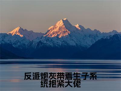 (反派炮灰带着生子系统抱紧大佬)全文免费阅读-反派炮灰带着生子系统抱紧大佬(风禾)最新章节列表阅读