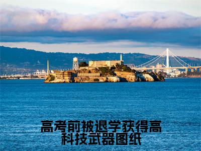 高考前被退学获得高科技武器图纸小说全文-林海李慕儿无弹窗免费阅读