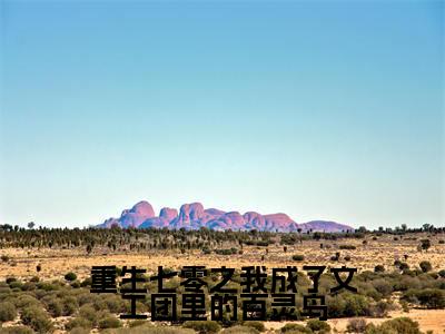 小说重生七零之我成了文工团里的百灵鸟免费在线阅读-小说主角叫魏元洲张清的小说完整版免费读全文