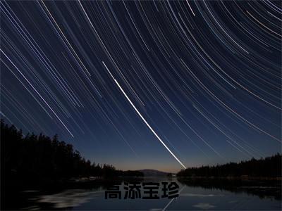 高添宝珍全文(宝珍高添)全文免费阅读无弹窗大结局_高添宝珍全文最新章节列表_笔趣阁(宝珍高添)
