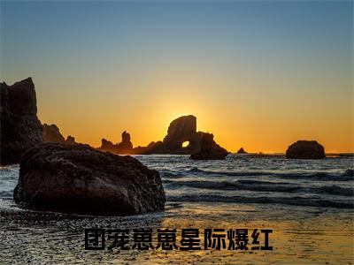 团宠崽崽星际爆红（陆黎栀）小说全文免费_团宠崽崽星际爆红（陆黎栀）最新章节目录笔趣阁