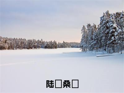 陆徎桑姷:桑姷陆徎全文免费阅读无弹窗大结局_陆徎桑姷:桑姷陆徎免费阅读