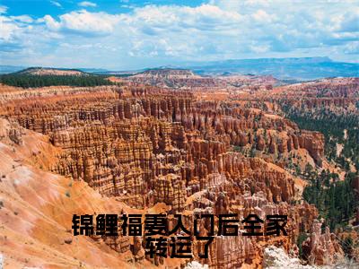 热门小说赵锦儿秦慕修锦鲤福妻入门后全家转运了全文免费阅读无弹窗大结局-赵锦儿秦慕修全文无弹窗免费阅读大结局
