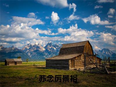 苏念厉景裕（苏念厉景裕）全文无弹窗阅读-精彩小说苏念厉景裕（苏念厉景裕）