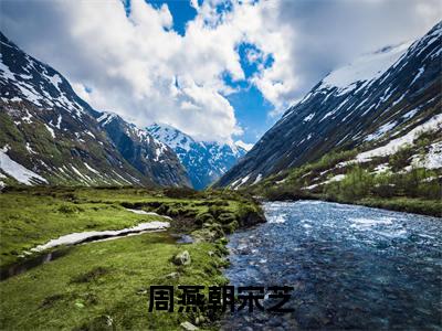 周燕朝宋芝(宋芝周燕朝)小说全文免费阅读无弹窗大结局_周燕朝宋芝最新章节列表