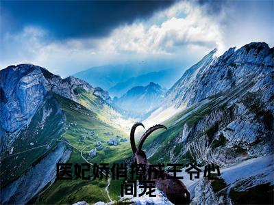 医妃娇俏撩成王爷心间宠小说全文免费阅读无弹窗大结局-云碧笙小说在哪里可以看