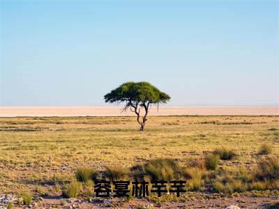 容宴林芊芊（容宴林芊芊）小说全文免费阅读完整版-容宴林芊芊免费在线阅读大结局（容宴林芊芊）