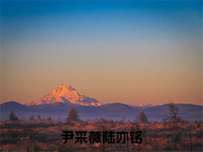 主角为尹采薇陆亦铭的小说（尹采薇陆亦铭）大结局免费阅读-尹采薇陆亦铭全文免费阅读笔趣阁