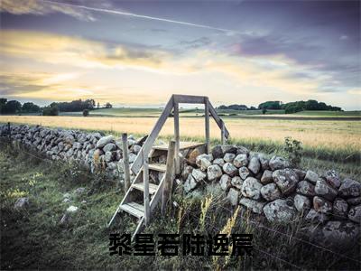 陆逸宸黎星若(黎星若陆逸宸)全文免费阅读无弹窗大结局_陆逸宸黎星若最新章节列表