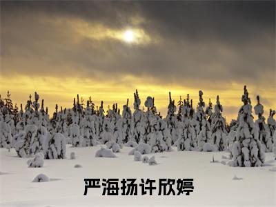 许欣婷严海扬在线阅读(严海扬许欣婷小说)全文免费阅读无弹窗大结局_严海扬许欣婷免费最新章节列表