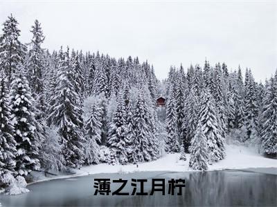 薄之江月柠小说最新章节阅读薄之江月柠江月柠薄之全文免费阅读最新章节大结局