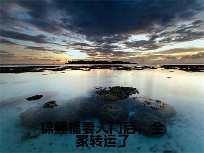 锦鲤福妻入门后,全家转运了(赵锦儿秦慕修小说)全文免费阅读无弹窗大结局_锦鲤福妻入门后,全家转运了小说赵锦儿秦慕修列表