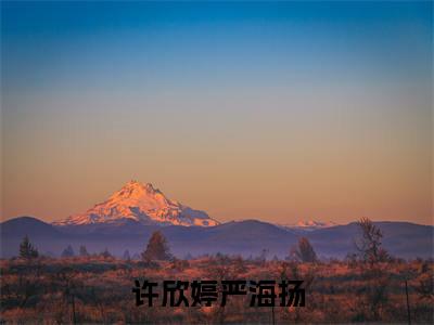 许欣婷严海扬全网首发最新小说,主角许欣婷严海扬全文在线免费阅读