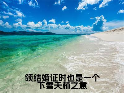 领结婚证时也是一个下雪天林之意小说（盛南琛林之意）全文免费阅读无弹窗大结局_领结婚证时也是一个下雪天林之意完整版最新阅读_笔趣阁（盛南琛林之意）