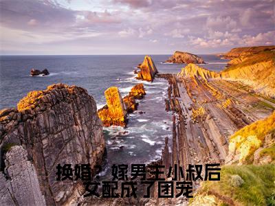江岫白陆辞年（换婚？嫁男主小叔后女配成了团宠）全文无弹窗大结局_江岫白陆辞年小说最新章节列表