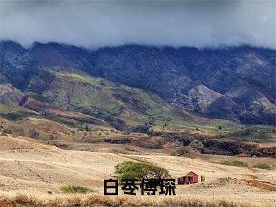 白苓傅琛(傅琛白苓)全文免费读无弹窗大结局_(傅琛白苓免费小说)白苓傅琛无弹窗最新章节列表