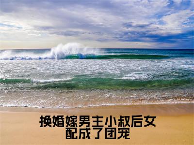 换婚嫁男主小叔后女配成了团宠(江岫白陆辞年)全文免费阅读_换婚嫁男主小叔后女配成了团宠小说最新章节列表笔趣阁